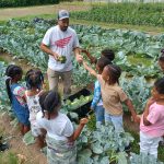 Harvesting Crops