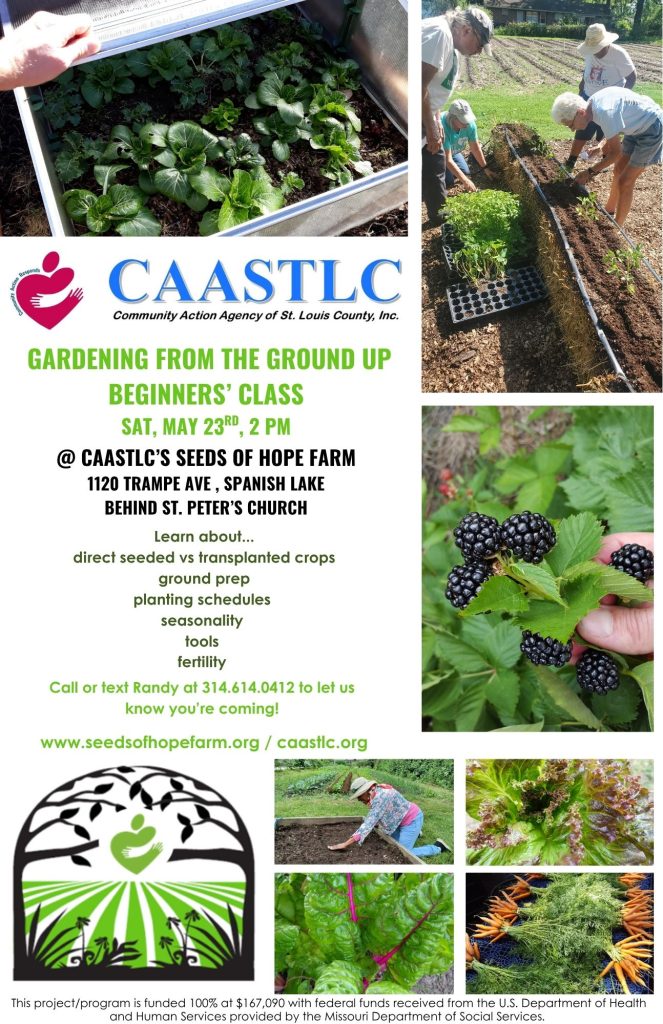 gardening from the ground up beginners' class flyer