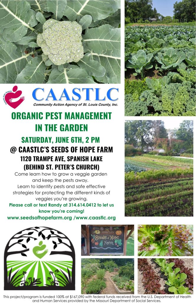 organic pest management in the garden
