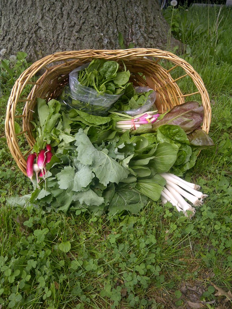 2013 Farm Share